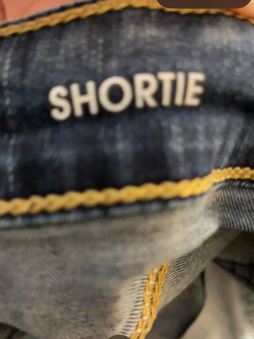 Denizen from Levis denizen levis